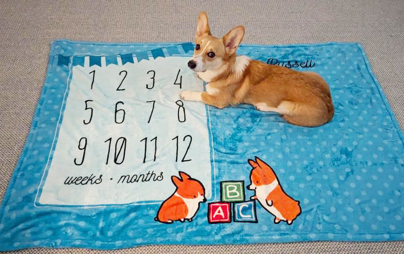 ⭐️ Happy Pupstomers ⭐️