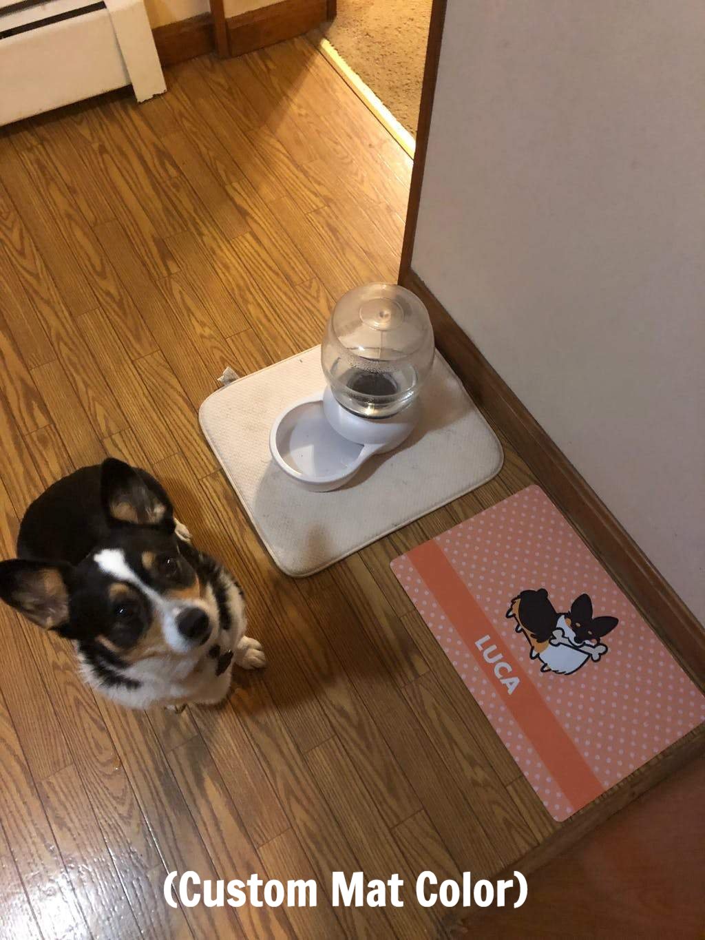 Custom Corgi Fabric Pet Placemat | 12" x 18"