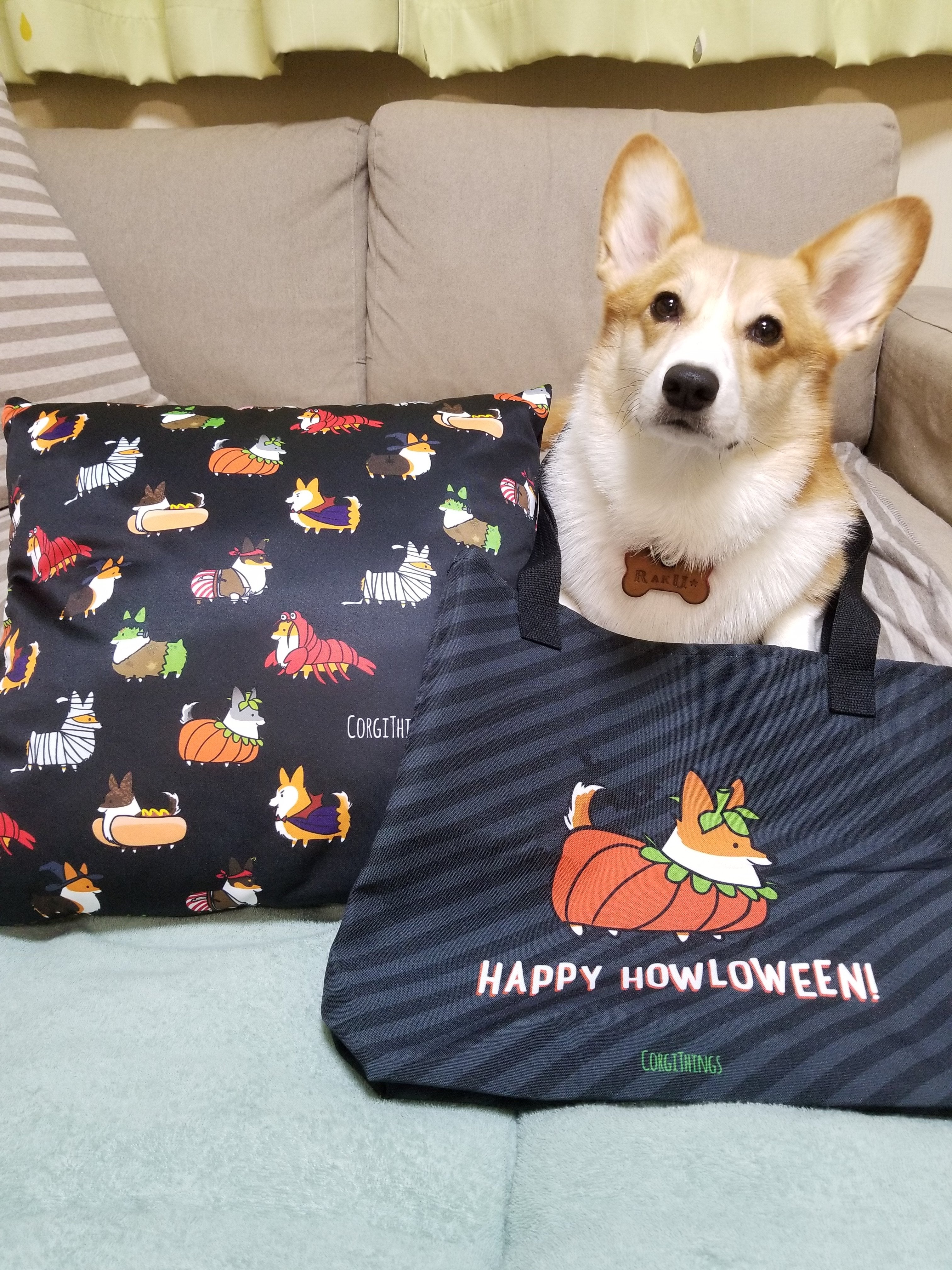 "Corgi Howloween Pumpkin" Tote Bag | Halloween Collection