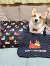 "Corgis in Costumes" 18x18 Square Pillow | Halloween Collection
