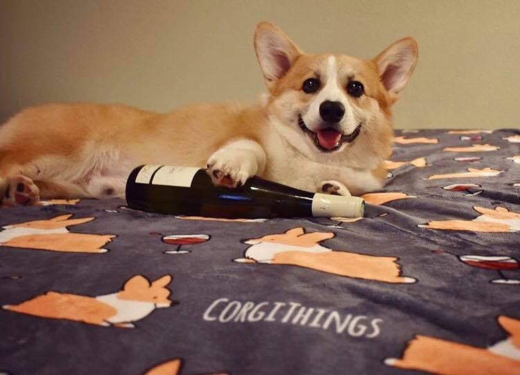 Happy pupstomers