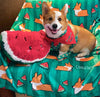 Tricolor Watermelon Corgi Fleece Blanket | 3 Sizes