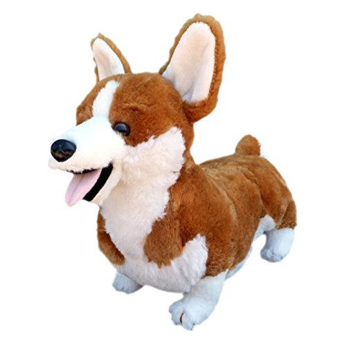 Cory the Farting Corgi Dog Plush Toy – Corgi Things