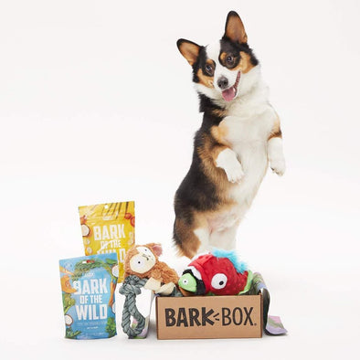 BarkBox Starter Kit Assortment Dog Toys and Treats