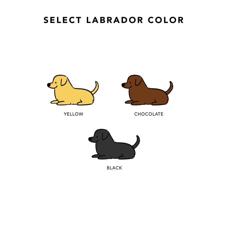Build-Your-Own Labrador Blanket