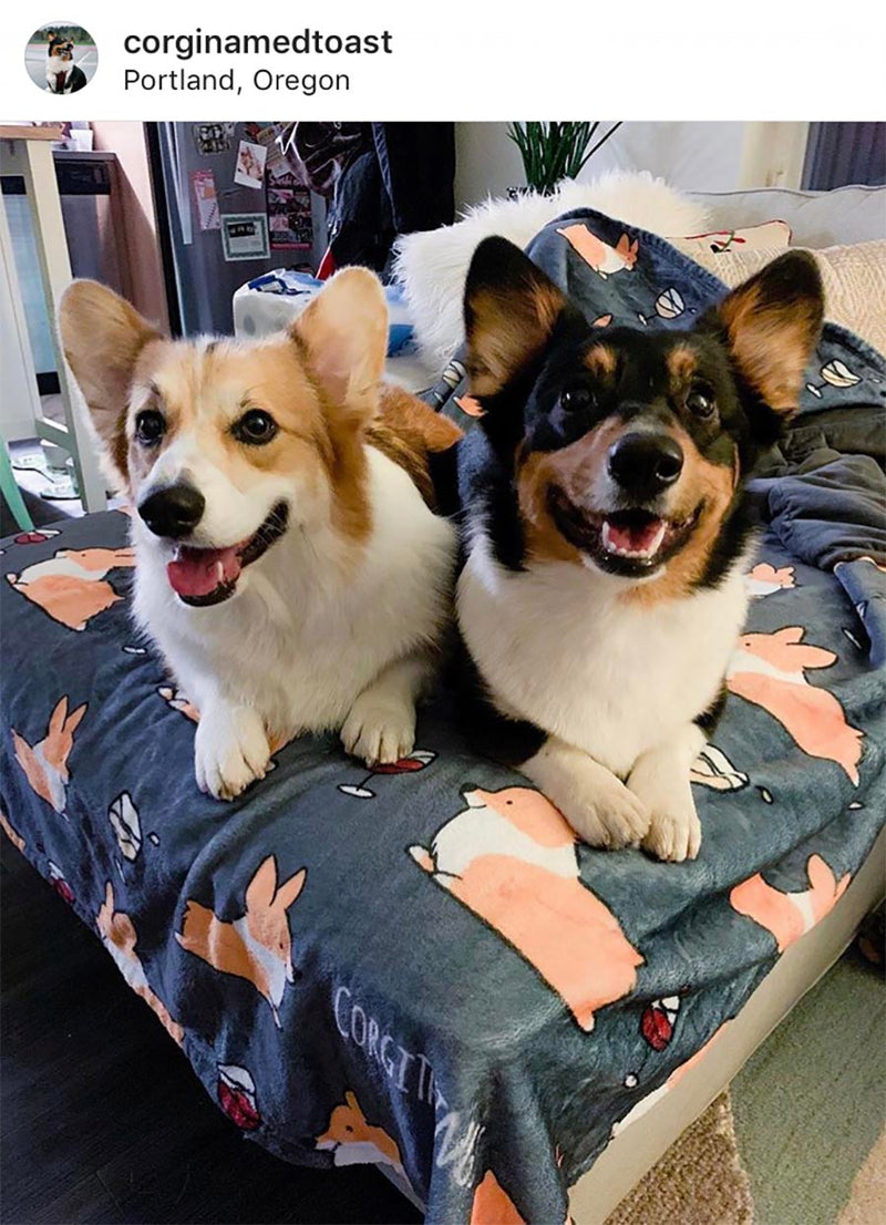 Happy pupstomers