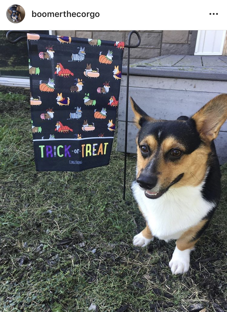 "Corgis in Costumes" Garden Flag | Halloween Collection