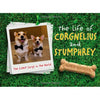 The Life of Corgnelius and Stumphrey: The Cutest Corgis in the World