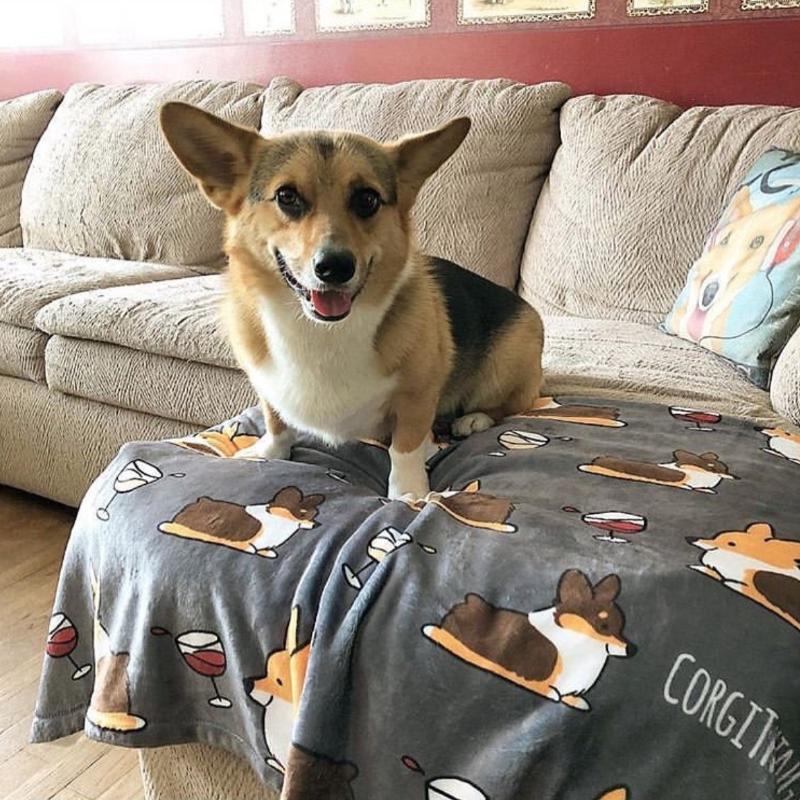 Happy pupstomers