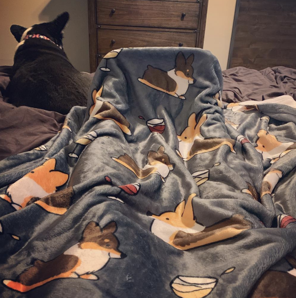 Tricolor Corgis & Wine Fleece Blanket | 3 Sizes