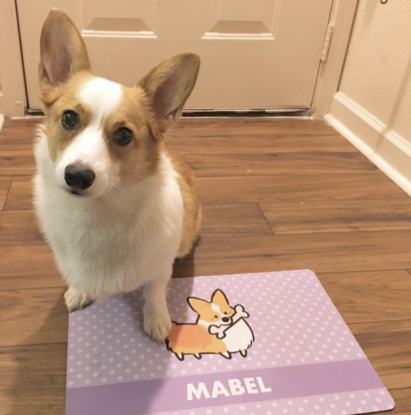 Custom Corgi Fabric Pet Placemat | 12" x 18"