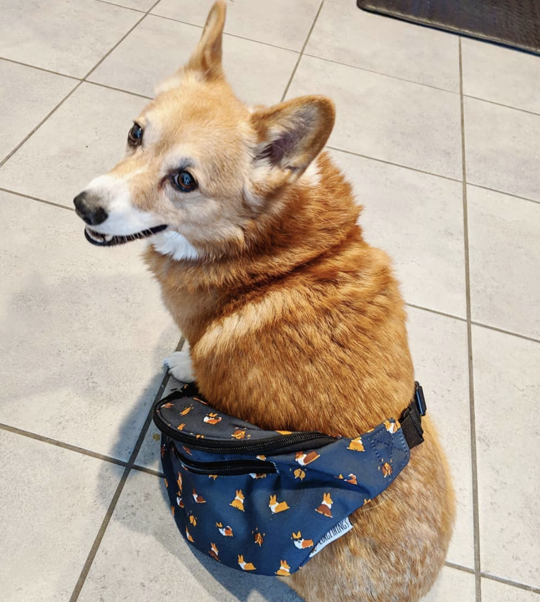 Cool Corgis Gray Fanny Pack