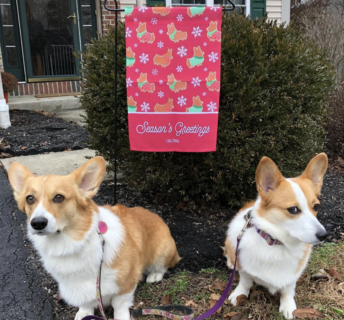 "Gingerbread Corgis" Red Garden Flag | Holiday Collection