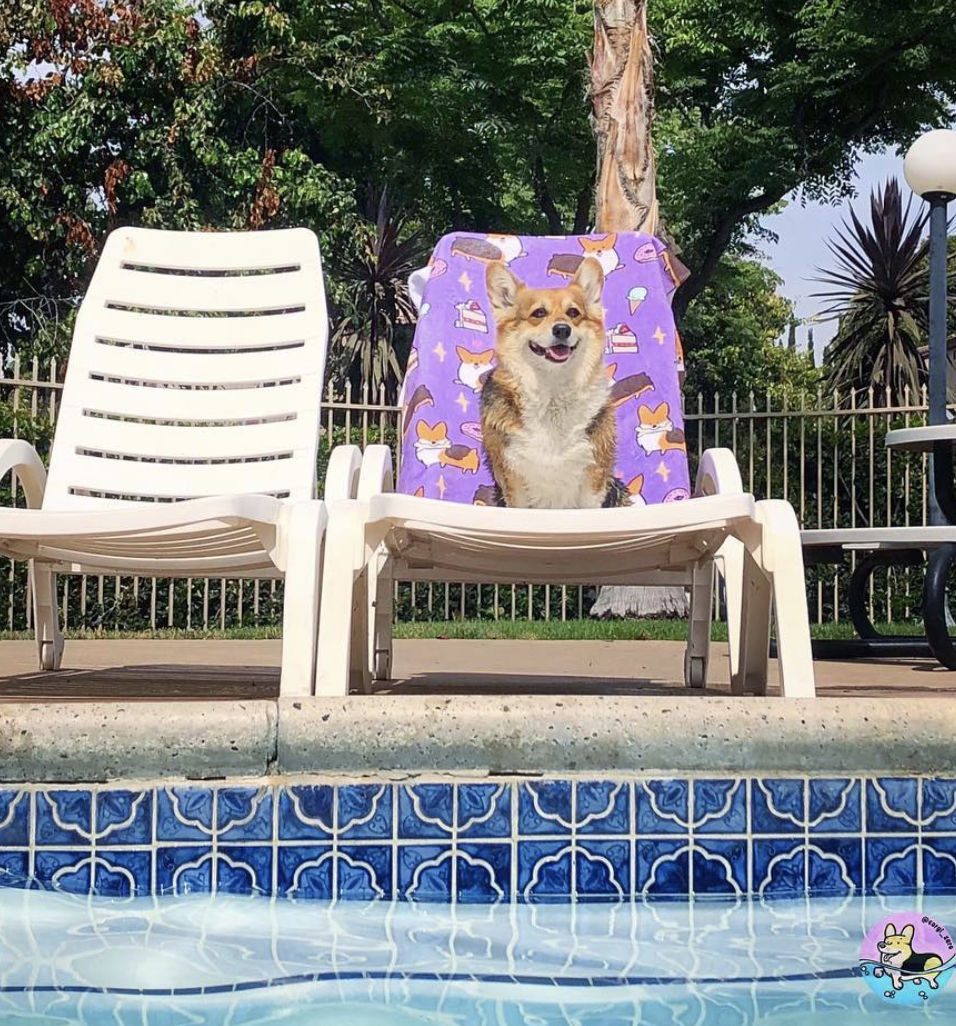 Sweet Treats Corgi Beach Towel