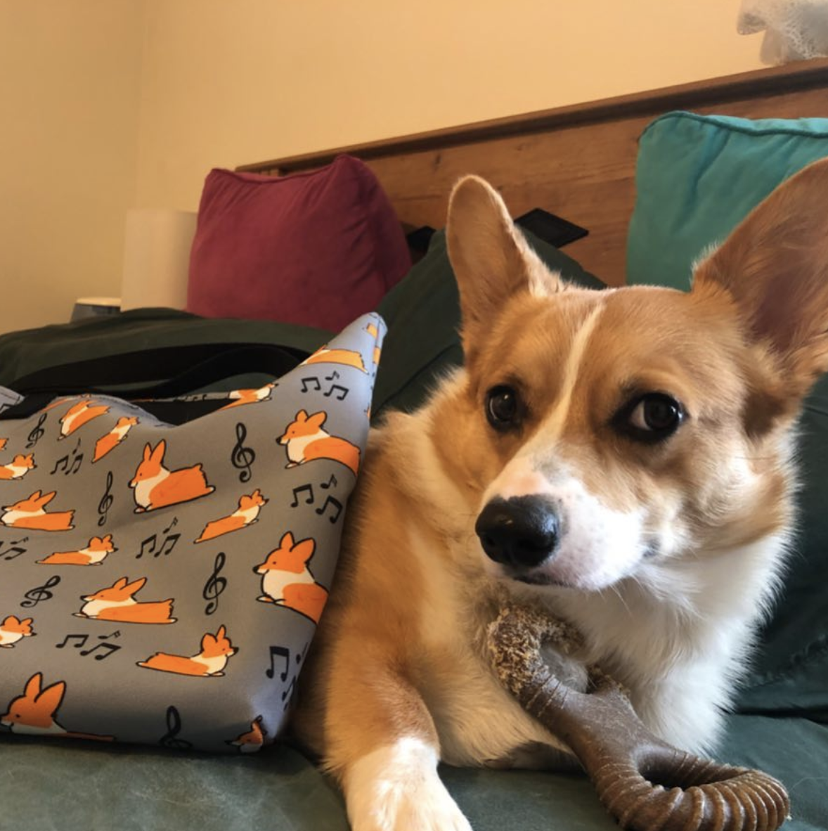 Corgi tote sales