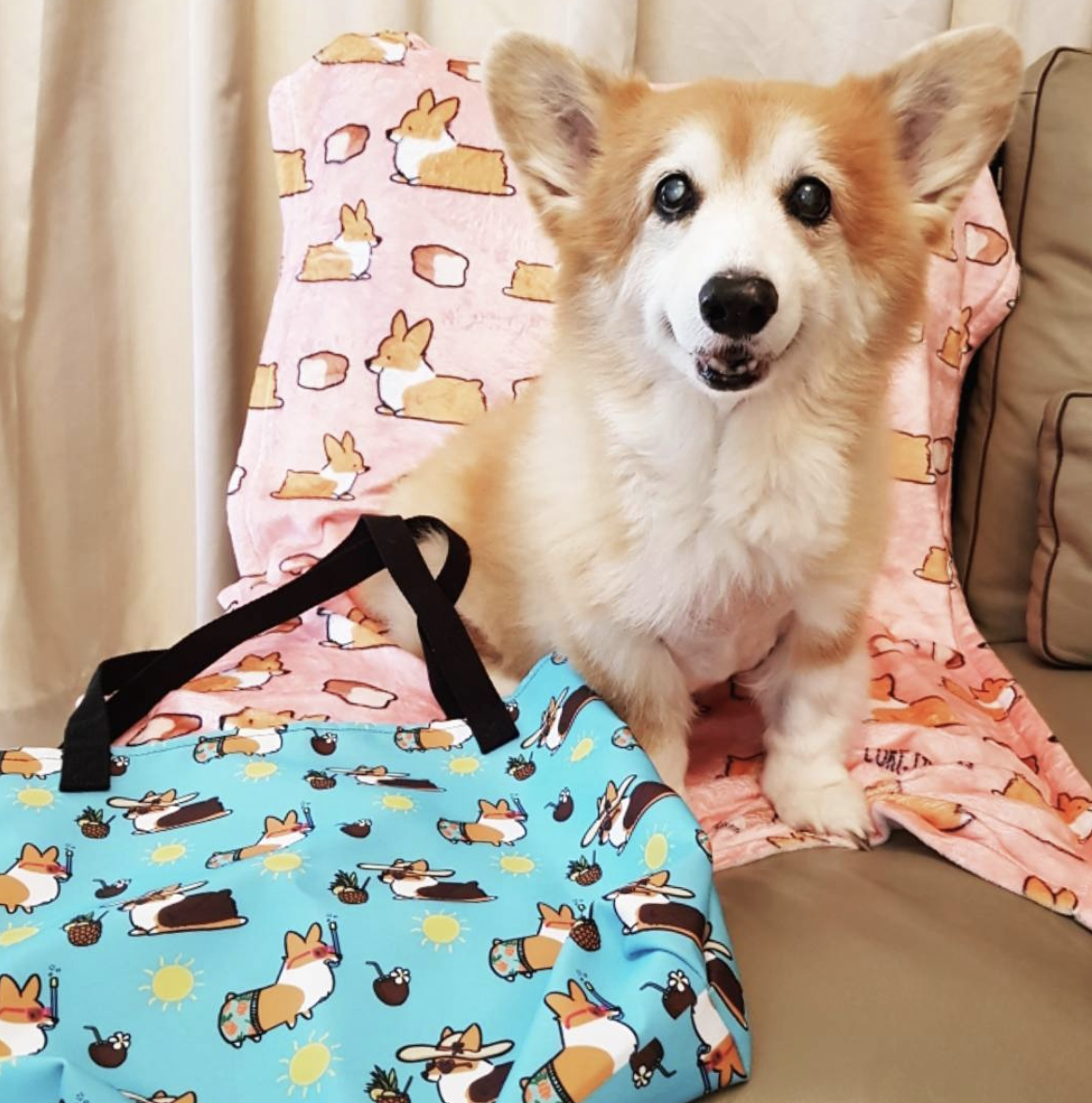 Beach Pawty Corgi Tote Bag – Corgi Things