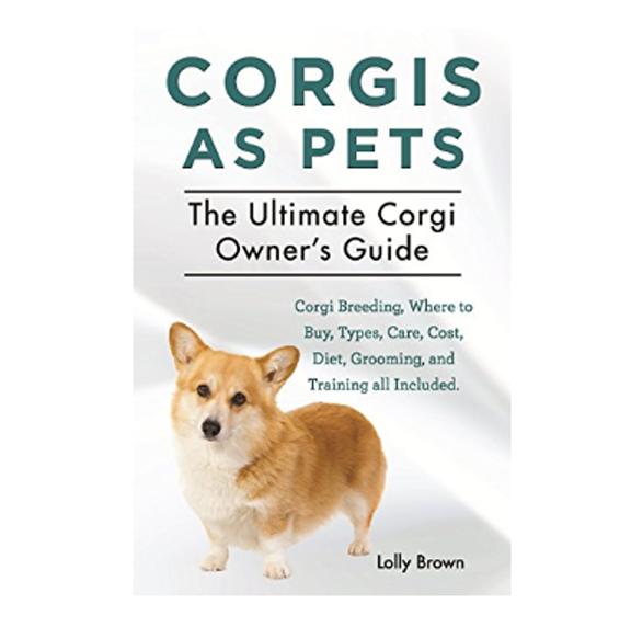 Corgis as Pets: The Ultimate Corgi Owner’s Guide