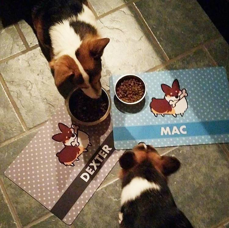 Custom Corgi Bone Fabric Placemat | 12x18x0.1" Polyester Fabric & Neoprene Pet Mat | Personalize Color, Corgi, Name | Made to Order