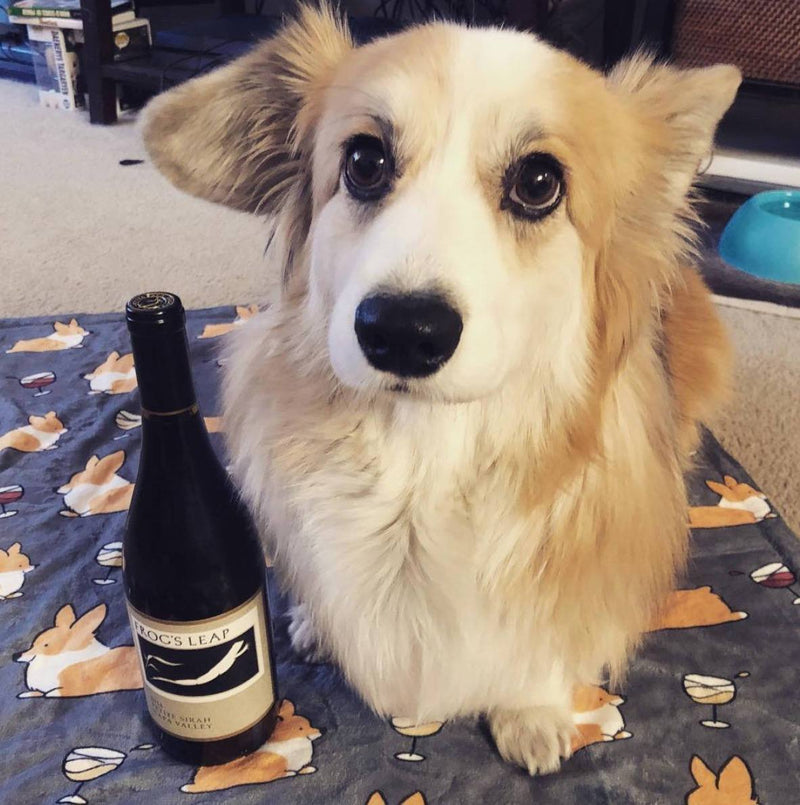 Happy pupstomers