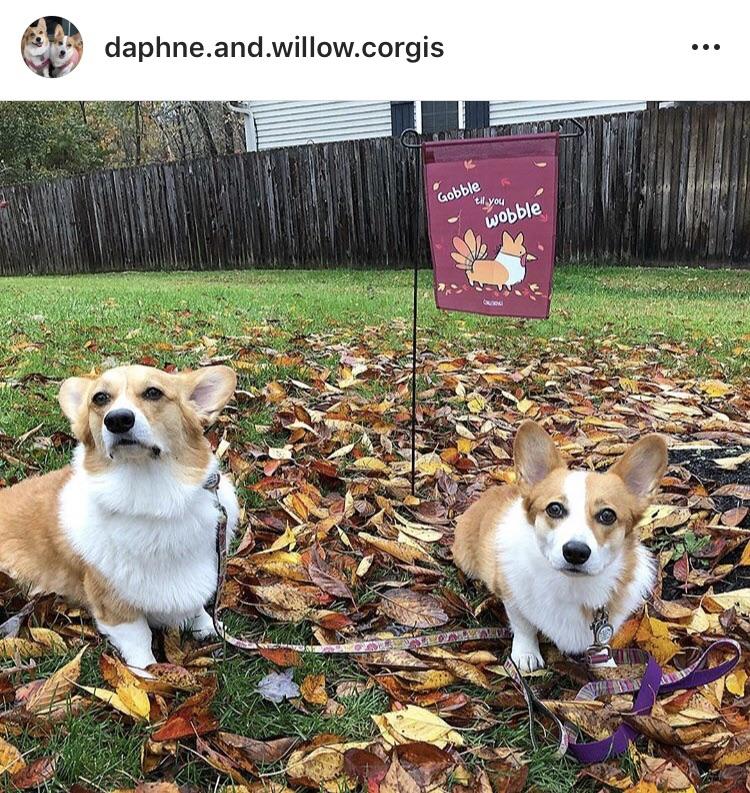 Gobble 'Til You Wobble