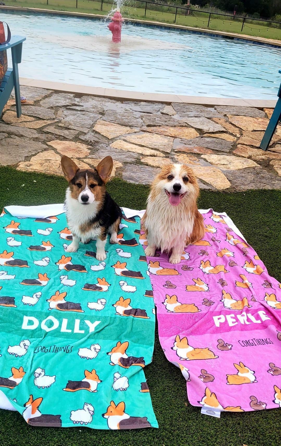 Build-Your-Own Corgi Things Beach Towel